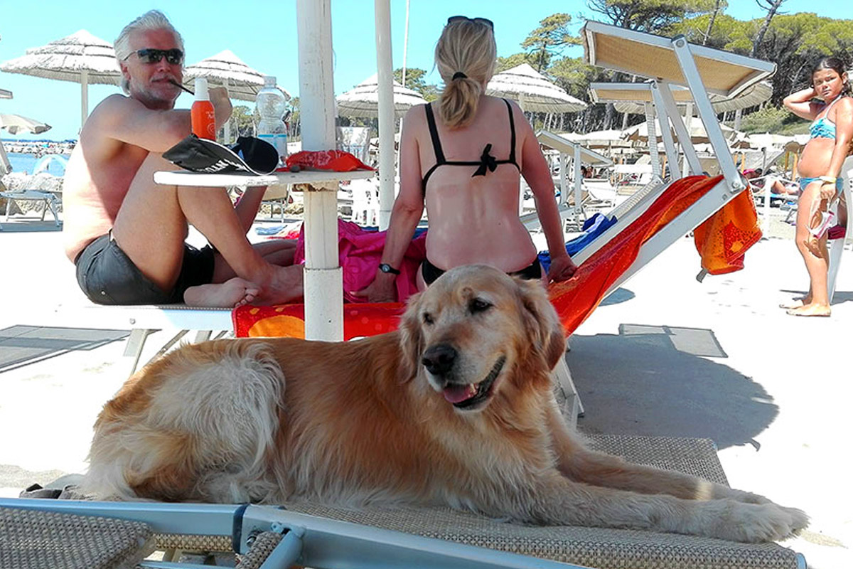 resort-pet-friendly-toscana.jpg